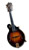 Weber F5